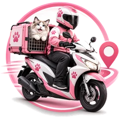 Ilustrasi antar-jemput kucing dengan skuter