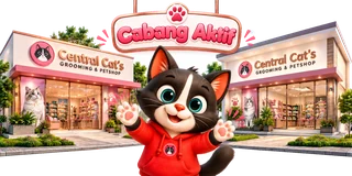 Ilustrasi maskot di depan dua cabang Central Cat’s